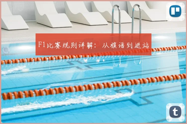 F1比赛规则详解：从旗语到进站