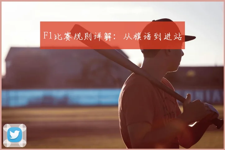 F1比赛规则详解：从旗语到进站